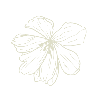 Alternate single flower